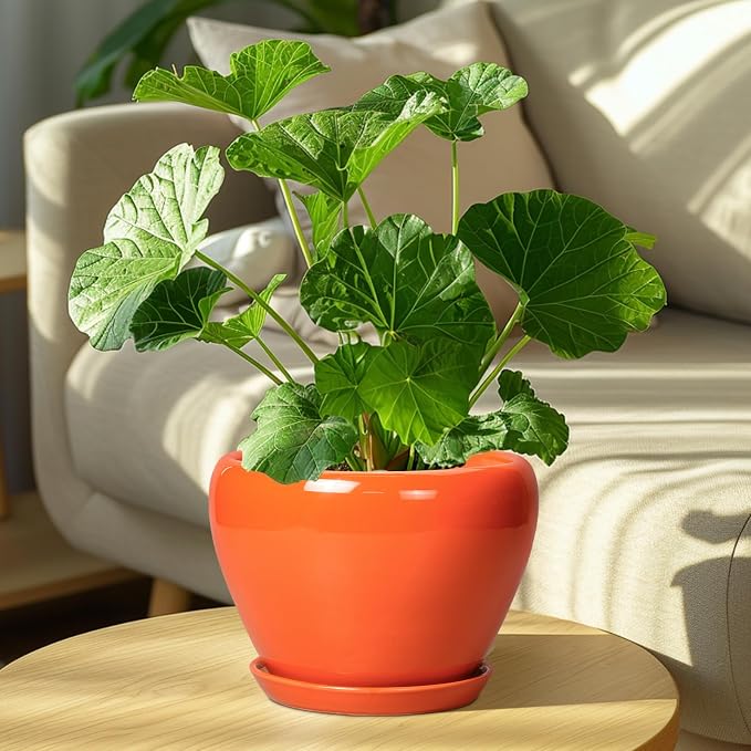 Ceramicfor Indoor Plant Pot 8 Inch - Ceramic Plant Pot with Drainage Hole and Saucer, Glaze Decorative Modern Round Planter for Outdoor Plants, Housewarming Gifts, Office Home Garden Decor, Orange