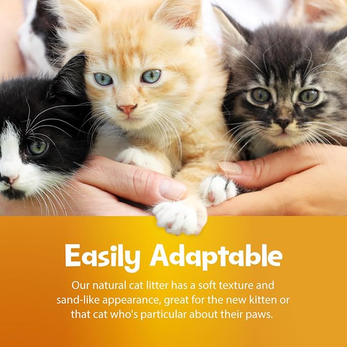 SmartCat All Natural Clumping Cat Litter, 20 Pound (320oz 1 pack) - Alternative to Clay and Pellet Litter - Chemical and 99% Dust Free - Unscented and Lightweight