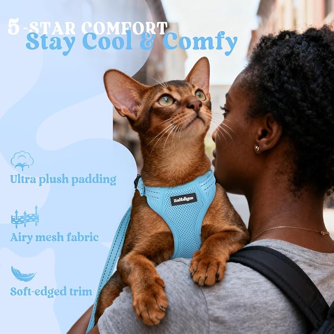 rabbitgoo Cat Harness and Leash, Easy-on with Neck Buckle, Sky Blue