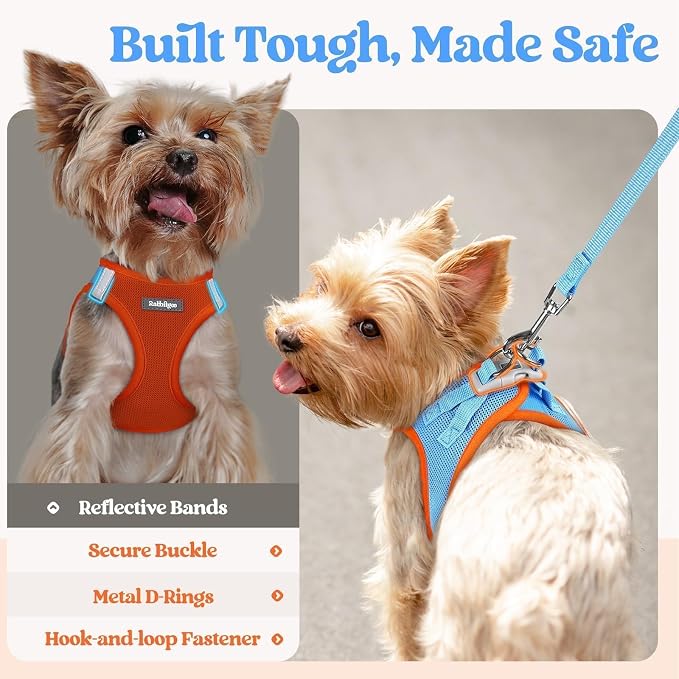 rabbitgoo Dog Harness Medium Sized and Leash Set, Step-in Puppy Pet Vest | Light, Soft, Breathable Air Mesh, Easy on and Remove with Hook & Loop, Secure Reflective for Walking, Blue & Orange L