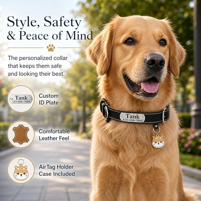 Personalized Genuine Leather Dog Collar with Name Phone Number-Black-M