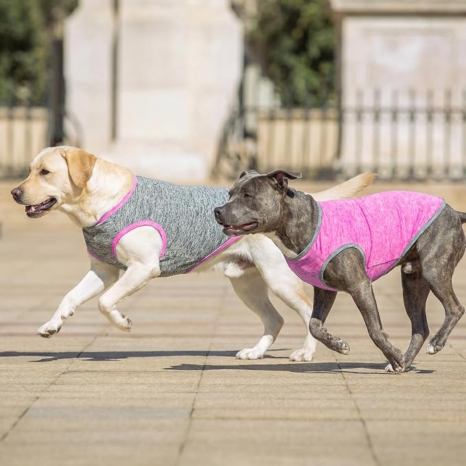 KYEESE 2Pack Dog Shirt for Medium Dogs Sun Protection Tank Top for Summer | Reflective for Safety, Lightweight & Breathable, Shedding Control, Skin-Friendly for Sensitive Dogs, Easy On/Off, Quick Dry
