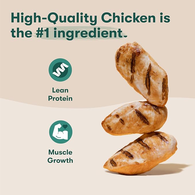 Jinx Dog Biscuits, Oven-Baked Dog Treats with Chicken Bone Broth, 16oz | 2-Pack Crunchy & Healthy Dog Treat, Superfood-Rich with Cage Free Chicken, Dog Cookies for Puppies, Adults & Senior Dogs