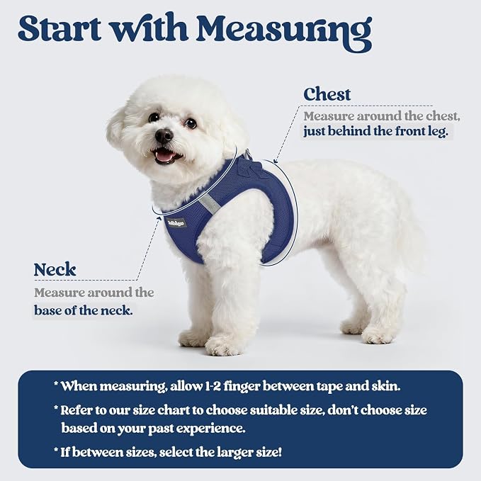 rabbitgoo Dog Harness Medium Sized and Leash Set, Step-in Puppy Pet Vest | Light, Soft, Breathable Air Mesh, Easy on and Remove with Hook & Loop, Secure Reflective for Walking, Navy Blue L