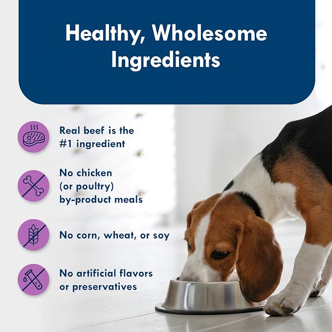 Blue Buffalo Delights Top Sirloin Small Breed Wet Dog Food, 3.5 oz, 12 ct | Adult Formula, Grain-Free, Pate Style, Real Beef First, in Savory Juice, No Corn, Wheat, or Soy