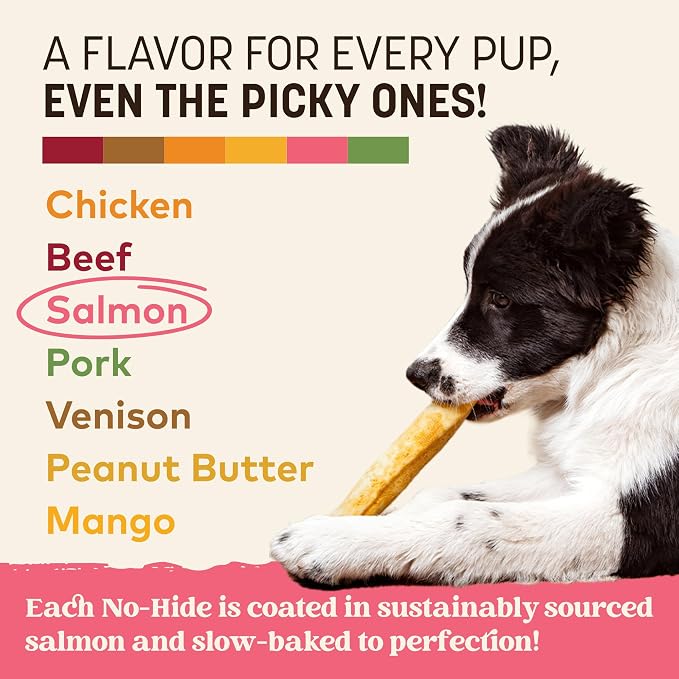 Earth Animal No Hide Dog Chews - Rawhide Free Medium Rolls 2 Count Salmon | Medium Salmon Flavored Natural Rawhide Free Long Lasting Dog Chews - Treats for Medium Dogs and Aggressive Chewers