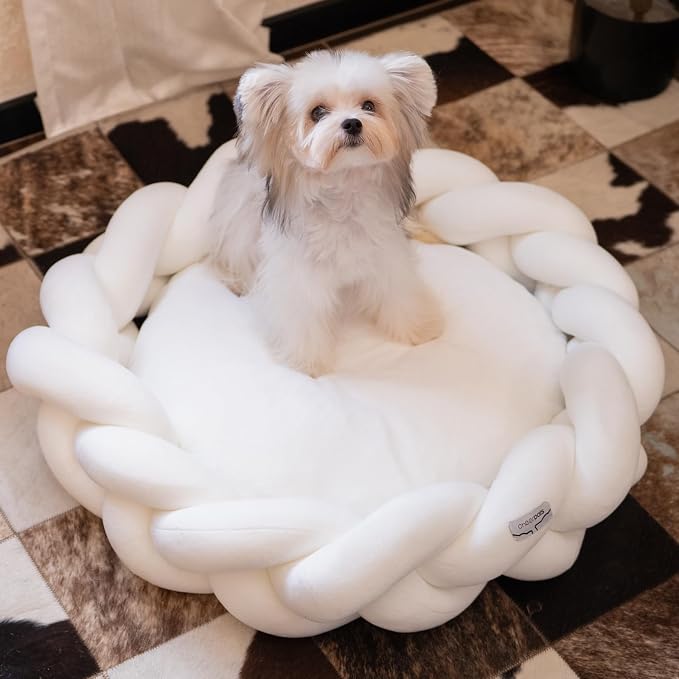 CHEERPALS Weave Cat Bed for Indoor Cats,Cute Pet Bed with Washable Cushion Fluffy Kitty Bed for Small Dog(White)