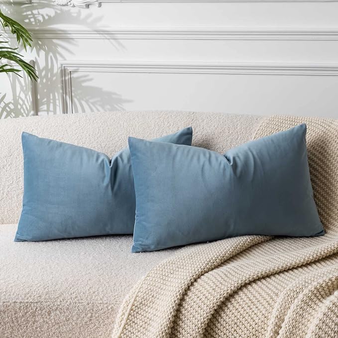 14x24 Velvet Throw Pillow Covers Set of 2 for Couch Bed Sofa,Light Blue | Decorative Soft Pillow Covers with Invisible Zipper for Couch Sofa Bed Living Room Bedroom Home Decor