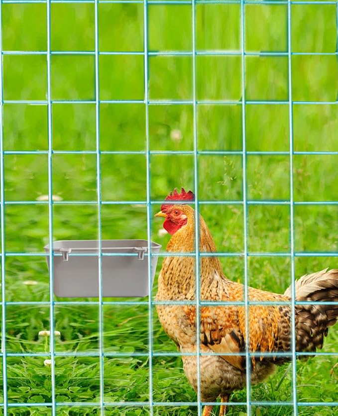 6 Pack Feeder Waterer Chicken 21 oz Food Water Cage Cups Puppy Cat Rabbit Hanging Feeding Dish Coop Bowl Watering Container Treats Drinker for Pigeon Bird Bath Basin Hamster Bed
