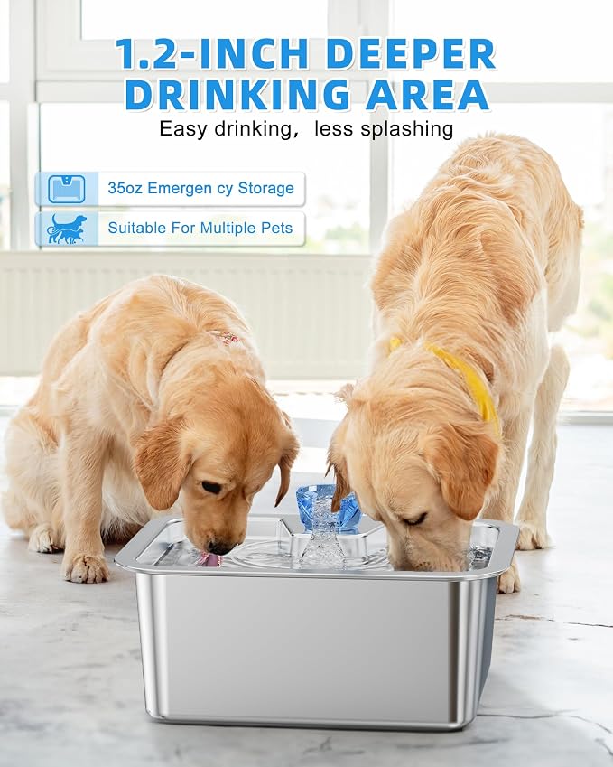 Lesotc Dog Water Fountain, 10L Stainless Steel Large Pet Fountain | Includes 4 Filters, Ultra-Quiet Pump and Circulating Flow, Automatic Dog Water Bowl for Multi-Pet Homes