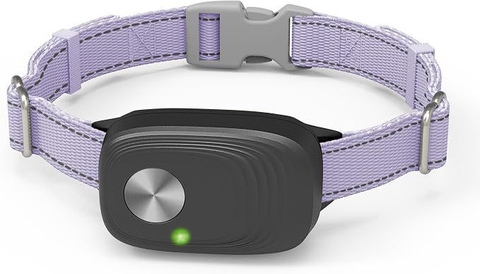 Automatic Pet Door Sensor, for MS-5, Black & Purple,1PK