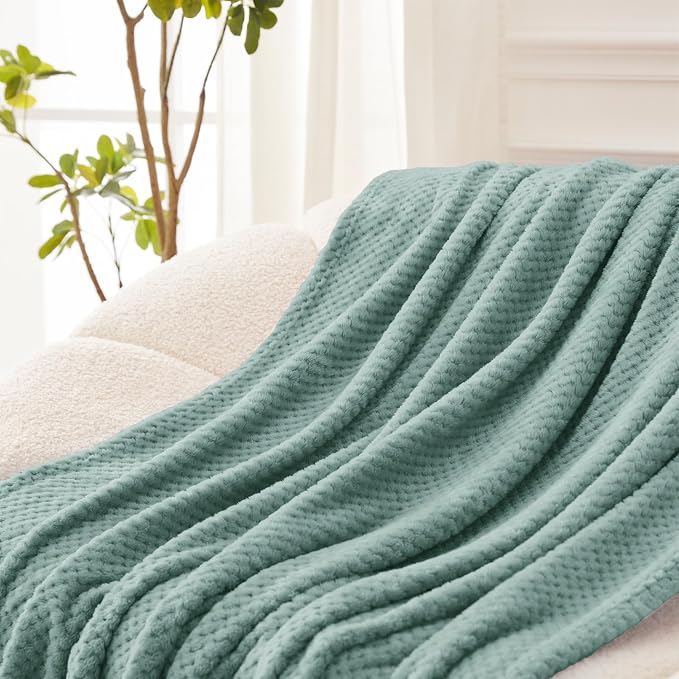 Exclusivo Mezcla Large Waffle Fleece Throw Blanket for Couch, Celadon | Lightweight Soft Blanket for Sofa, Bed, Living Room, Plush Fluffy Throw for Home Decor, Travel, All Season, 50x70 Inches