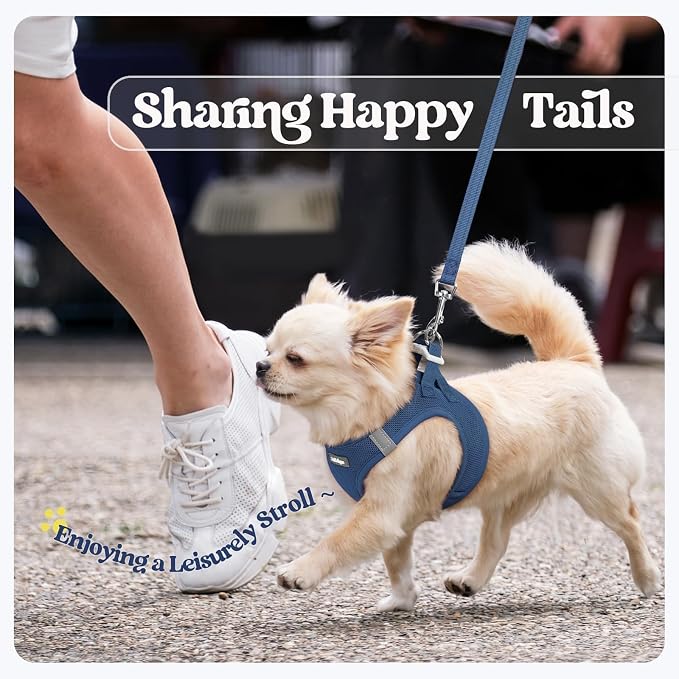 rabbitgoo Dog Harness Small Sized and Leash Set, Step-in Puppy Pet Vest | Light, Soft, Breathable Air Mesh, Easy on and Remove with Hook & Loop, Secure Reflective for Walking, Navy Blue M