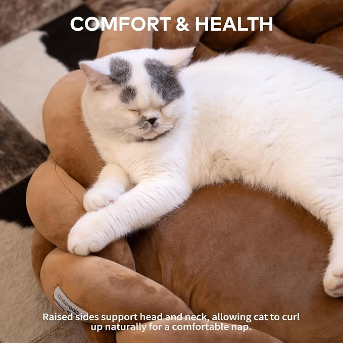 CHEERPALS Weave Cat Bed for Indoor Cats,Cute Pet Bed with Washable Cushion Fluffy Kitty Bed for Small Dog(Caramel)