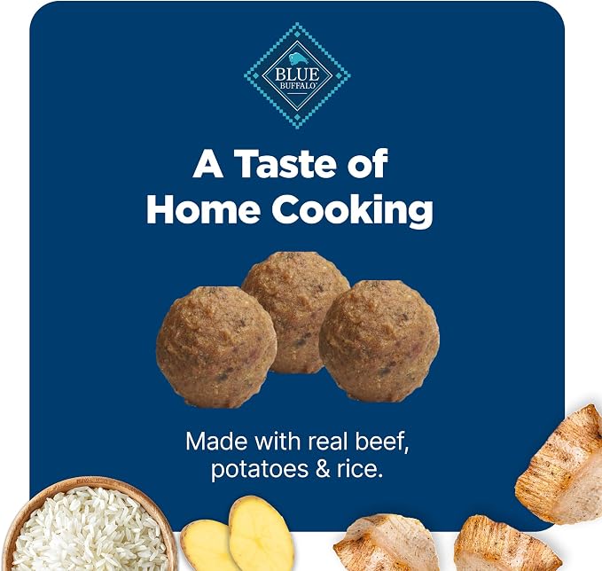 Blue Buffalo Nudges Homestyle Natural Beef and Rice Dog Treats (Pack of 4)