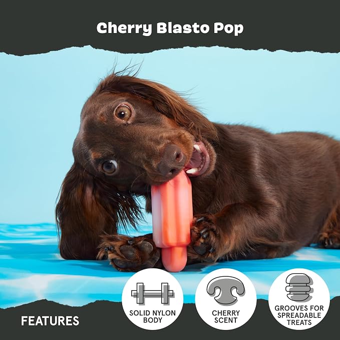 BarkBox Cherry Blasto Pop Dog Toy - for Small Dogs