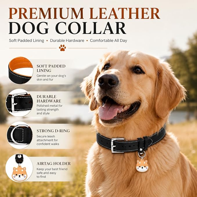 Genuine Leather Dog Collar, Soft Padded Leather Dog Collars with Airtag Holder Case for Small Medium Large X-Large Dogs,Comfort Heavy Duty Pet Collar with Durable Metal Buckle & D-Ring-Black/M