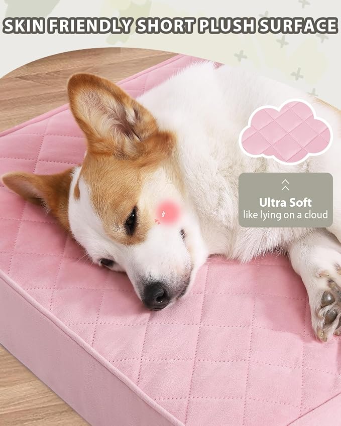 NUPIDA Orthopedic Large Dog Bed for Crate with Washable Cover, 35x22, Pink | Egg-Crate Foam, Cozy Velvet Pet Mattress, TPU Waterproof Layer, Flat Kennel Pad, Comfy Support, Non-Slip Bottom