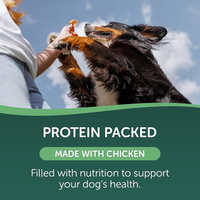 Healthfuls Chicken Wrapped Fruit Dog Treats, 16oz | Dried Apple, Kiwi, & Banana, Real Chicken Breast, Rich In Antioxidants, No Artificial Colors, Training Treat, For All Breeds