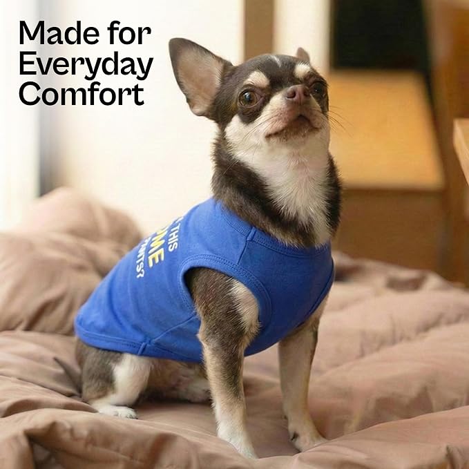 Parisian Pet Dog Tshirt - Embroidered “ Awesome “ Tank Top - Pure Cotton and Lightweight Dog Clothes - Blue Pet Vest - Sleeveless Tee Shirts for Medium Dogs Boy
