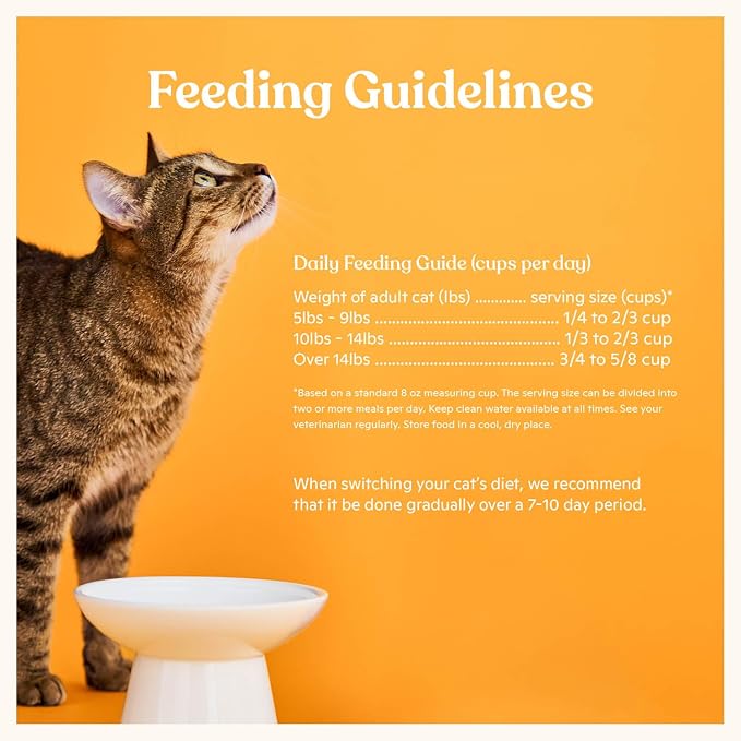 Made by Nacho Dry Cat Kibble 10lb Bag, High Protein Premium Cat Food with Freeze Dried Pieces, Sustainably-Caught Salmon, Whitefish & Pumpkin, Limited Ingredients, Single Bag | Protein-forward dry cat food with premium ingredients and craveable texture...