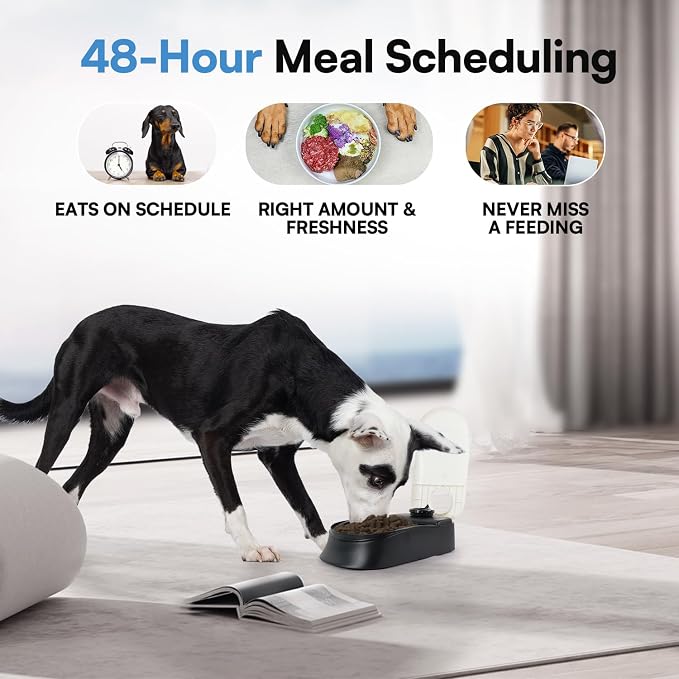 PAWISE Automatic Cat Feeder, Meal Automatic Timer for Cats and Puppy, 48-Hour Timer, Pet Feeder with Ice Pack for Wet or Dry Food, 1.5 Cups Dog Cat Food Dispenser