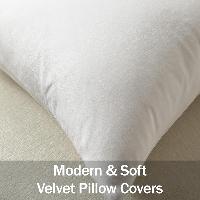Lumbar Pillow Covers 12x20 Ivory White: Pack of 2 Cozy Soft Velvet Rectangular Modern Luxury Decorative Throw Pillow Cases for Sofa Couch Living Room Bed Home Decor