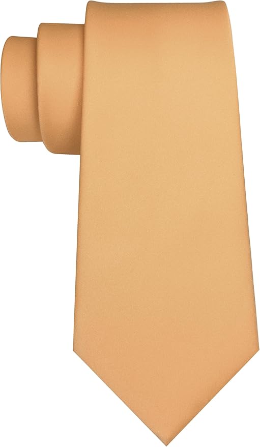 JEMYGINS Solid Color Tie Mens Necktie for Business and Wedding