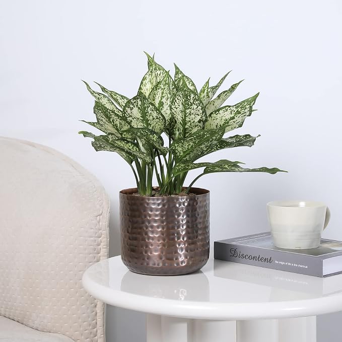 MyGift 6 Inch Copper Metal Vase, Hammered Flower Pot, Handcrafted | Elegant hammered finish brings artisan character to floral arrangements, succulents, and tabletop decorative displays
