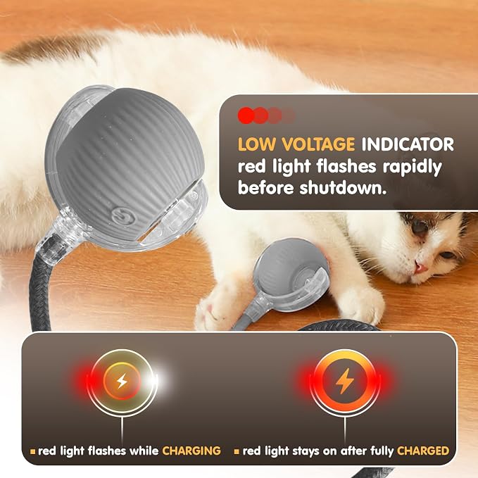 Rocfish Durable Interactive Cat Toys for Indoor Cats (Grey, 01)
