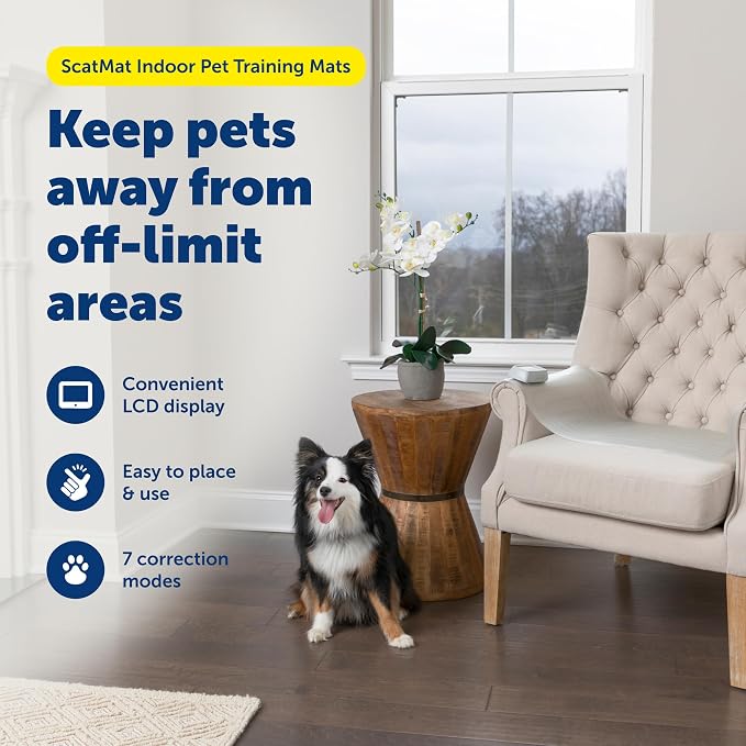 PetSafe ScatMat Indoor Training Mat