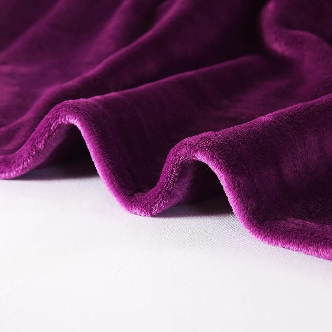 TASTHROW Large Flannel Fleece Throw Blanket, 60×80 Inch - Purple | Cozy Lightweight Thick Blanket - All Seasons Suitable for Women, Men and Kids