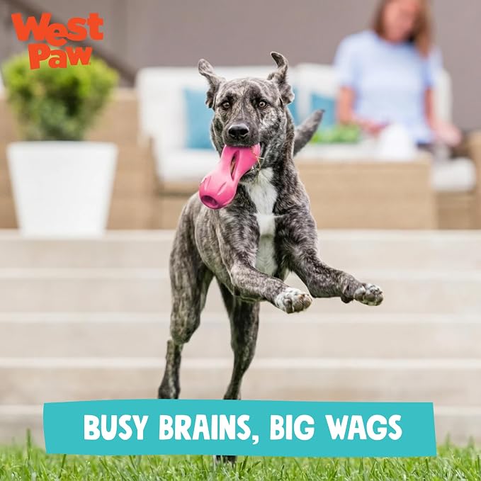 WEST PAW Qwizl Durable Zogoflex Dog Puzzle Toy for Mental Stimulation, and Enrichment - Treat Dispensing for Bully Sticks and Dental Sticks - Dishwasher Safe - Made in USA - Large - Geranium