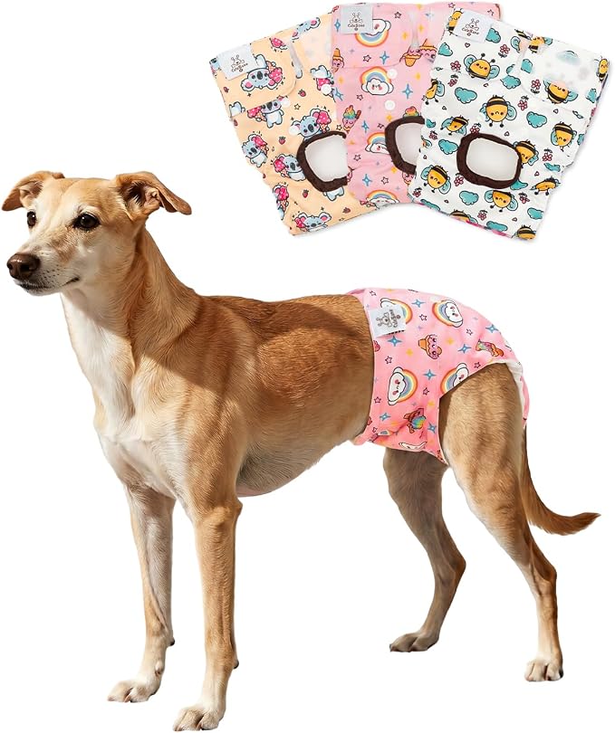 CuteBone Dog Diapers Female Washable Small Medium Large 3 Pack Reusable Doggie Diapers Puppy Period Pants for Doggy Heat Cycle Peeing