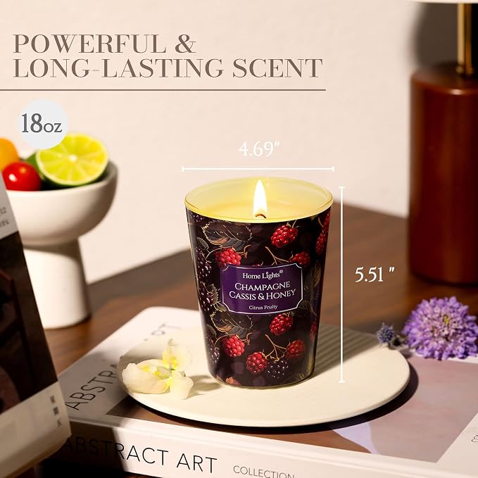 HomeLights Scented Candles for Women & Men, 6.7oz Candle Jars Aromatherapy Single Wick Candle, Ideal for Eclectic Mixed Styles Home Decor and Gifts, Champagne Cassis & Honey