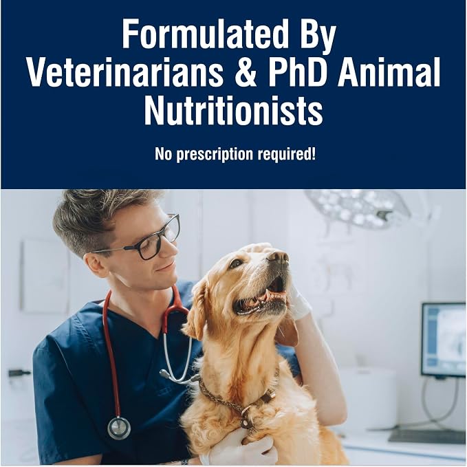 Blue Buffalo True Solutions Digestive Care Chicken Adult Dry Dog Food, 4 lb | Clinically Proven Prebiotic Fiber, Veterinarian Formulated, No Corn, Wheat, or Soy