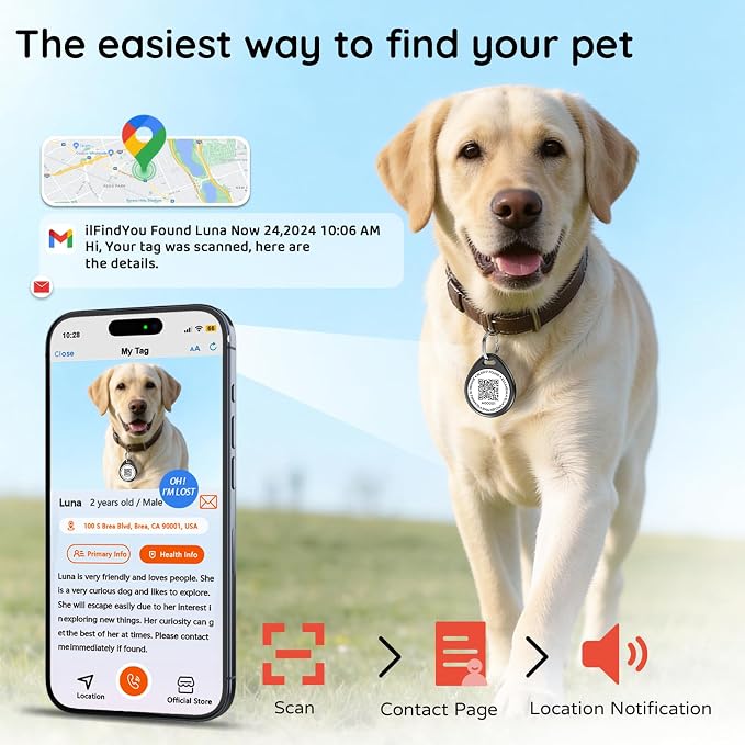 QR Code Dog Tags Personalized for Pets, Real-time Alerts, Eagle