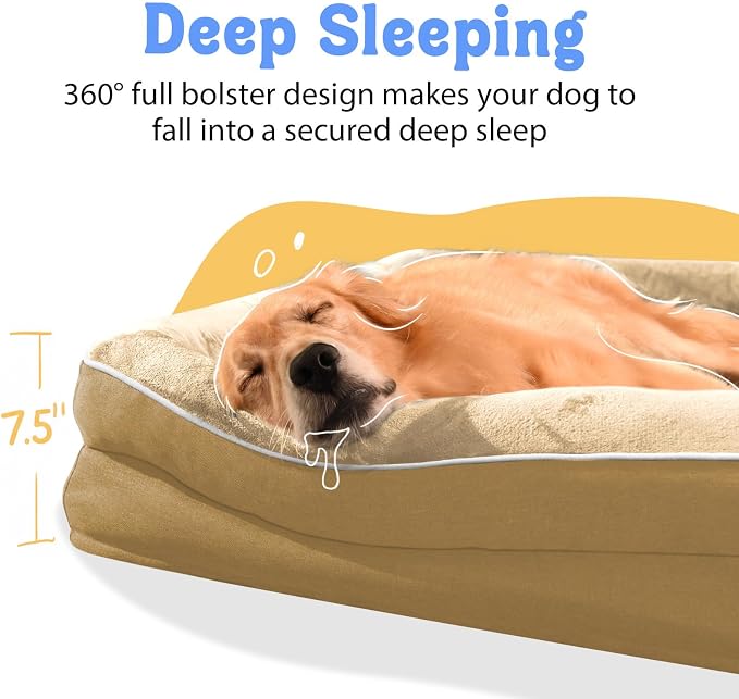 Waterproof Orthopedic XL Dog Bed for Large and Extra Large Dogs | Egg Crate Foam, 4-Sided Bolster Support, Waterproof Liner, Non-Slip Bottom, Machine Washable Cover, 42 x 30 Inch
