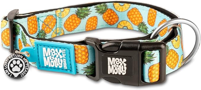 Max & Molly Urban Pets Fashion Smart ID Dog Collar, Anti-Fade, Adjustable Sizing w/Pet Profile Smart ID QR-Tag, Waterproof & Machine Washable, Sweet Pineapple Design, Extra Small (Neck Size 9-14")