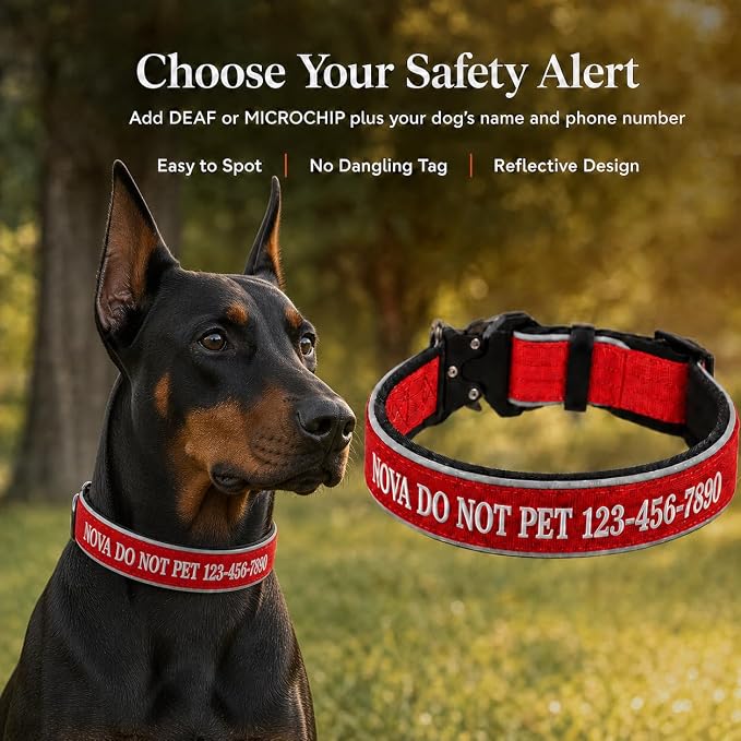 Custom Embroidered Dog Collar with Name and Phone Number, Personalized Safety Alert Collar for Deaf, Microchipped, Senior & Rescue Dogs, Reflective Nylon Collar with Metal Buckle