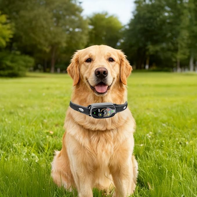 Waterproof Smart Bark Collar with 25 in / 63.5 Cm Strap, 5 Sensitivity Levels, Rechargeable, Color Display, Nylon, Black