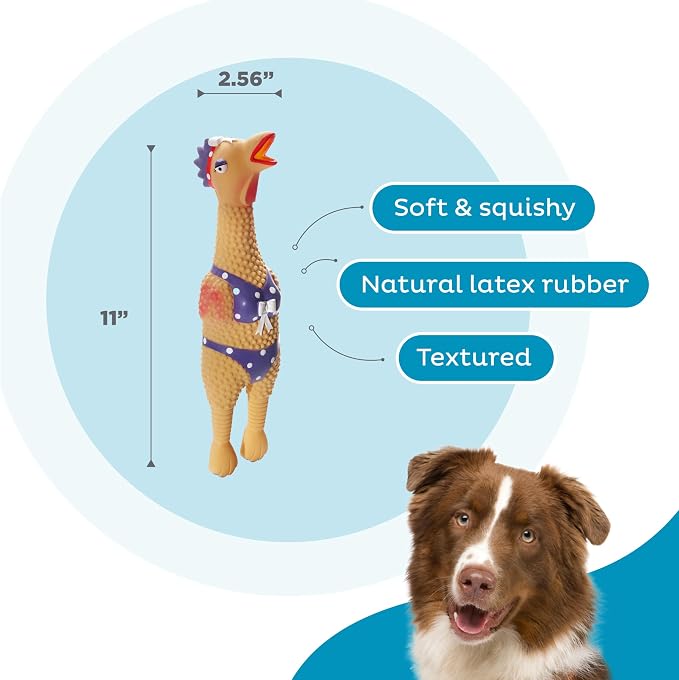 Outward Hound by Charming Pet Squawkers Henrietta Latex Squeaky Rubber Chicken Dog Toy, Funny Interactive Holiday Toy for Dogs, Large Size (Pack of 2)