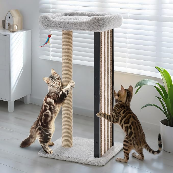 Veehoo 35" Tall Cat Scratching Post for Indoor Cats, Sturdy Cat Scratch Pad | Scratch Post with Plush Top Bed & Replaceable Metal Frame Scratching Board, Easy assembly