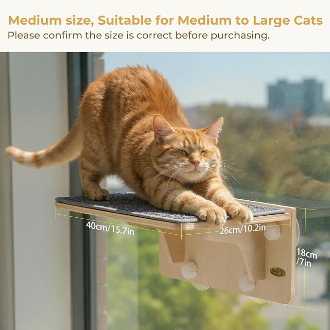 Pecute 2-in-1 Cat Window Perch & Wall Shelves, Cat Hammock Window 16"x10" | Solid Wood Frame, Strong Suction Cups, Washable Cover Mat, Window Bed for Kitten, Indoor Cats, Window Seat for Birds Watching