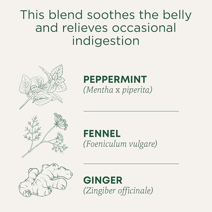 Traditional Medicinals Tea, Organic Belly Comfort Peppermint, Promotes Healthy Digestion, 16 Tea Bags