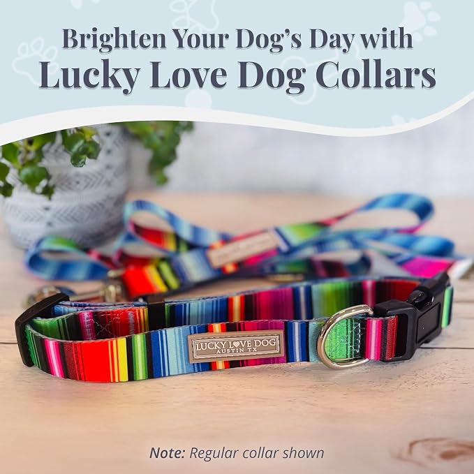 Lucky Love Dog Martingale Collar & Leash Set Cute – Nacho Color and, Large