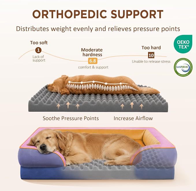 Comfort Expression Orthopedic Dog Bed for Extra Large Dogs with Bolster | Waterproof Dog Couch Bed with Washable Cover & Non-Slip Bottom, Supportive Egg Crate Foam XL Pet Bed, 42x30 Inch