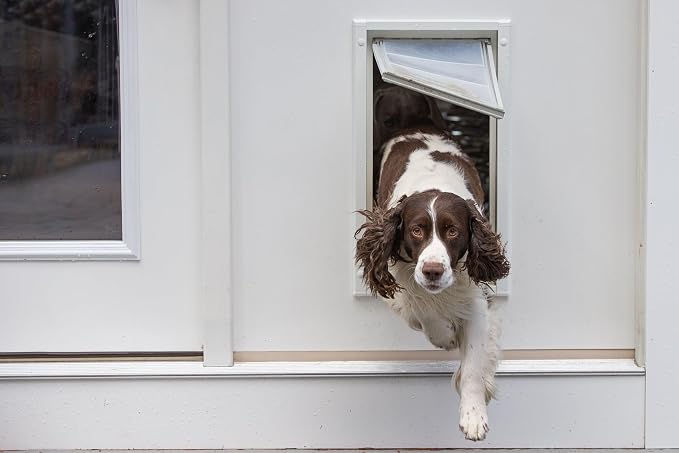 Endura Flap Single Flap Pet Door for Thick Walls | Deep Wall Design up to 13" Thick | Insulating Dual-Layer Flap & Durable Aluminum Frame | Includes Locking Cover | White, XXL, Single Flap