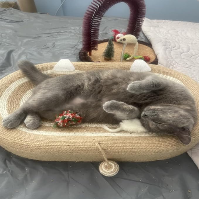 Cat Scratcher Bed 3 in 1 Sisal Cat Scratching Board for Indoor Oval Cat Scratch Pad Durable Scratching Lounge Bed Round Bowl with Toy Balls for Cats Kitten Puppy (24"x15.7"x3.5")