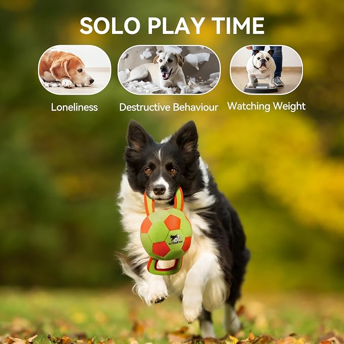 ALL FOR PAWS Dog Ball with Handles, Durable Dog Toy with Squeaker, Interactive Tug of War Ball Toy for Small and Medium Dogs, 12.6 x 5.9 x 5.9 Inch